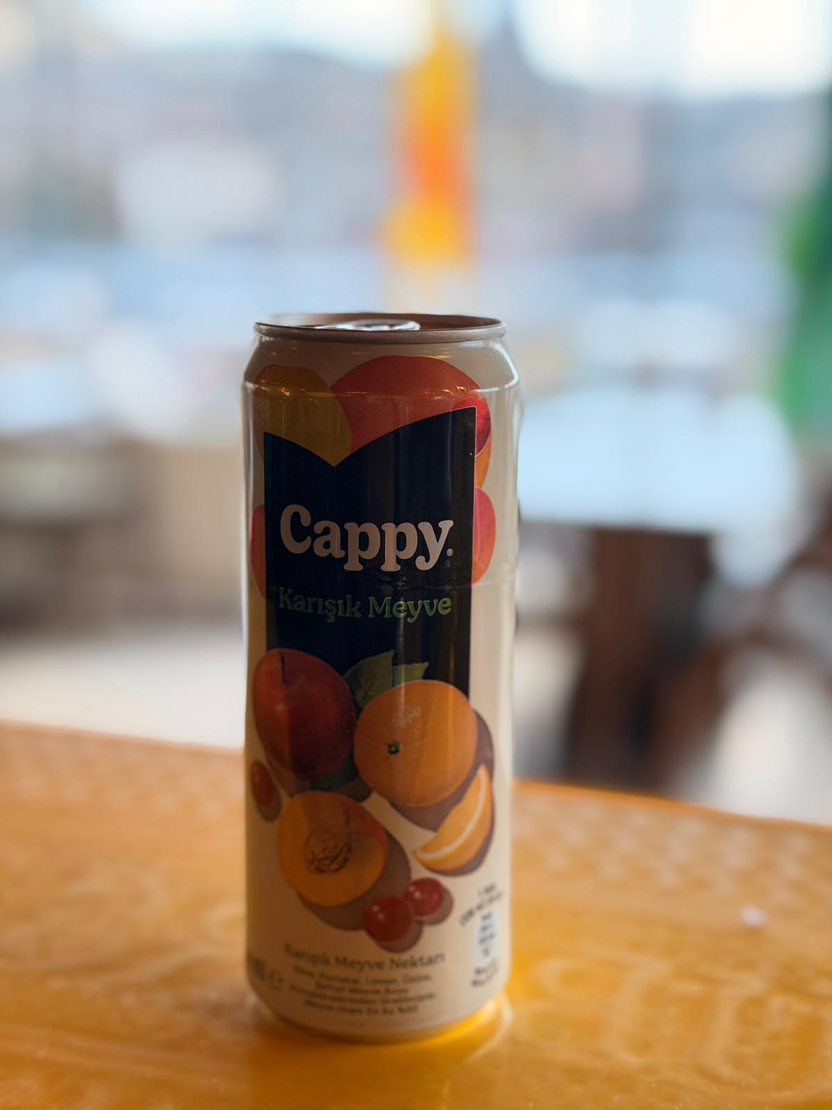 * Cappy Meyve Suyu ( Karışık)